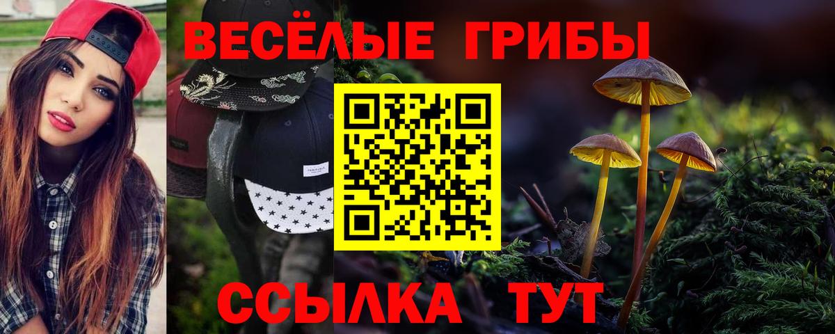 Псилоцибиновые грибы Cubensis  Вход с VPN  Псилоцибиновые грибы GOLDEN TEACHER  Железногорск 
